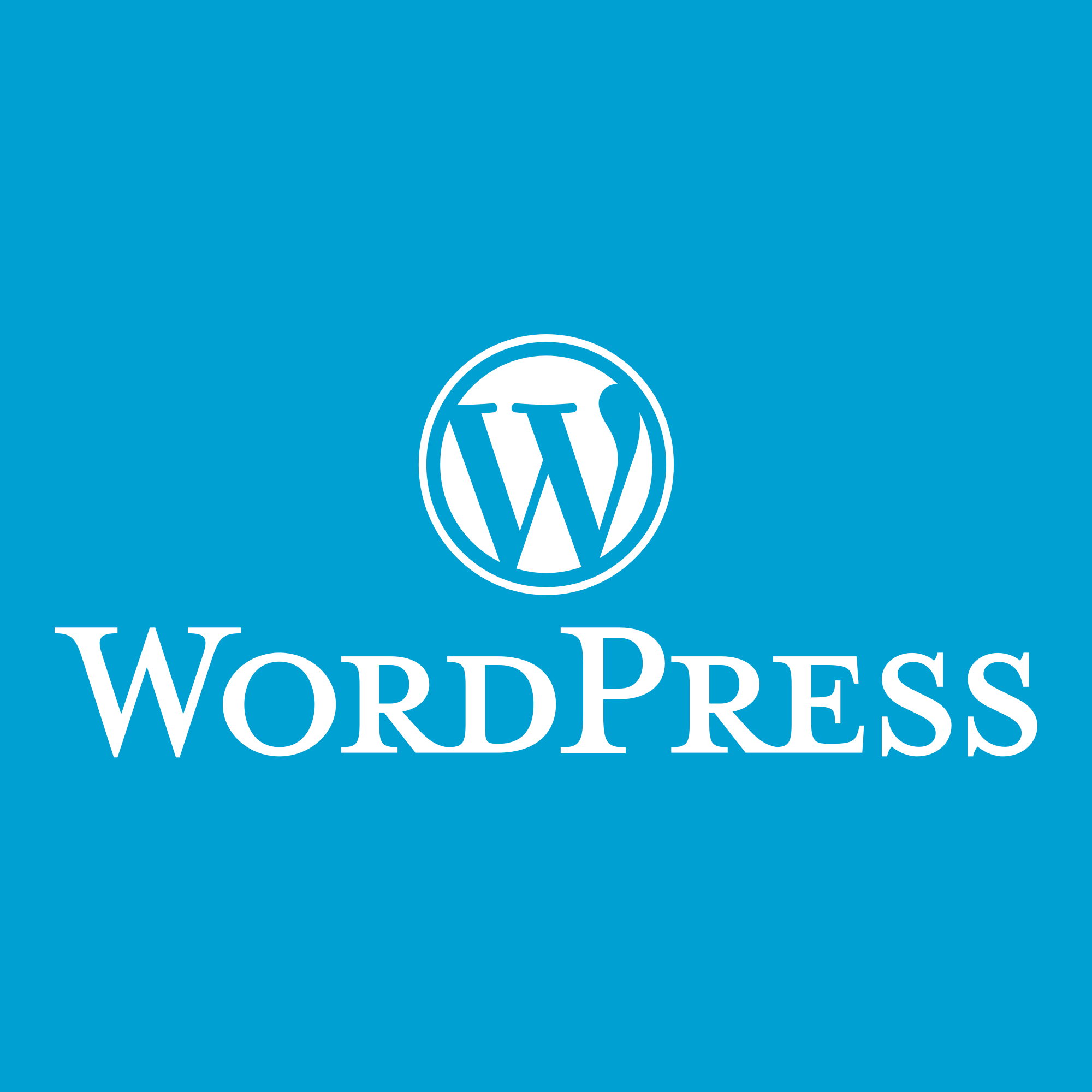WordPress.com ile WordPress.org Farkları Nelerdir?