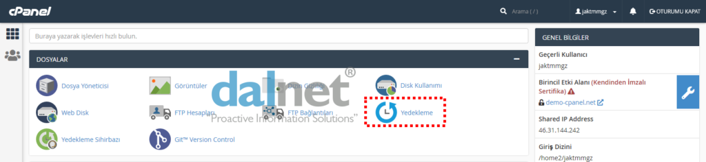 cPanel Giriş