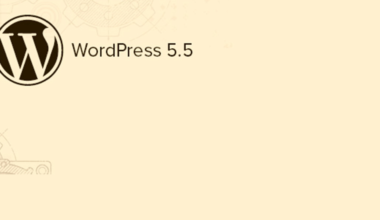 WordPress 5.5 Güncellemesi Sonrası Hatalar Nasıl Düzeltilir?