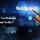 nosql nedir? Nosql veritabanı sistemi